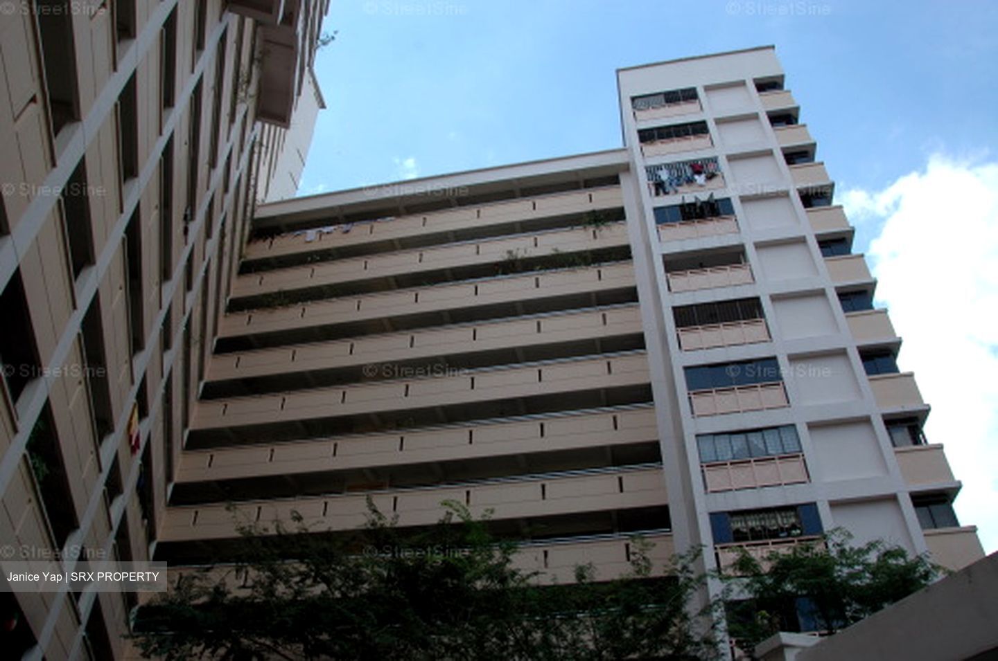 Blk 517 Pangshan Valley (Bukit Panjang), HDB Executive #606816951
